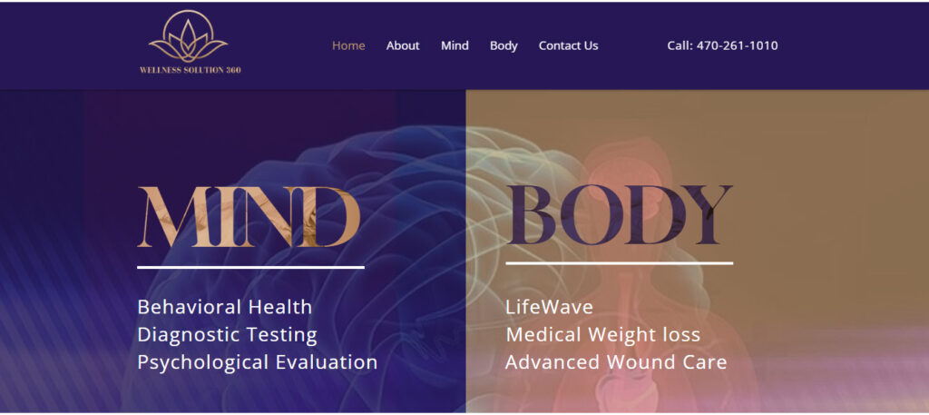 Wellness Solution 360 Website Design and development by Asjad Ali web app developer